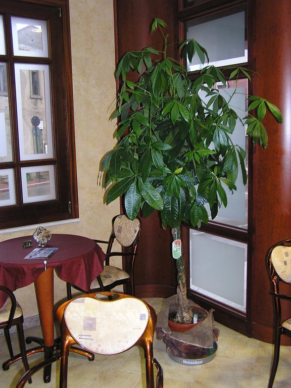 Hotel Mistral 포르토스쿠소 외부 사진